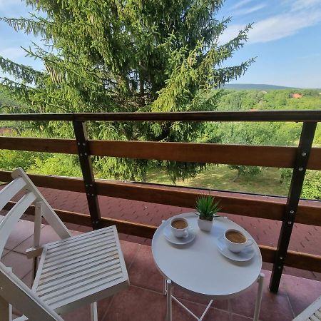 Hoopovo House Fruska Gora Villa Irig Exterior photo
